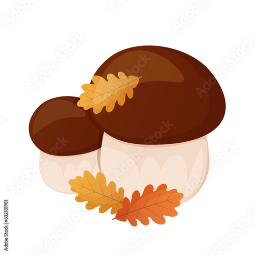Two boletus with oak leaves, forest mushrooms illustration