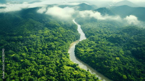 Aerial view of the river flowing through the green forest in the morning. Green forest for sale carbon credit,carbon offsetting concept. Climate solutions,nature concept.