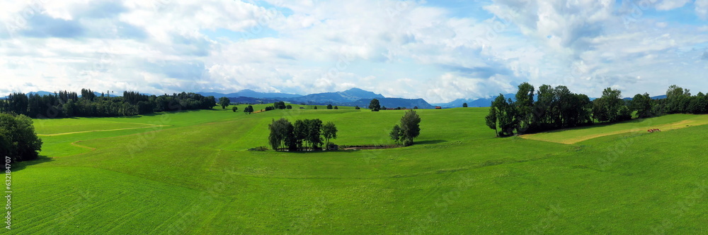 Baumgruppe im Alpenvorland bei Kempten mit Blick auf die Allgäuer Alpen. Sankt Mang, Kempten, Bayern, Deutschland.