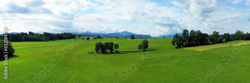 Baumgruppe im Alpenvorland bei Kempten mit Blick auf die Allgäuer Alpen. Sankt Mang, Kempten, Bayern, Deutschland.