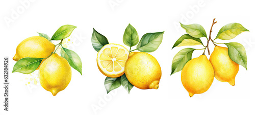 fruit lemon watercolor