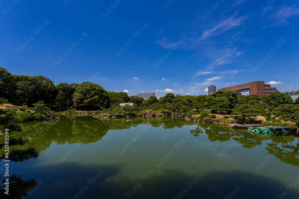 Fototapeta premium summer sky and urban garden 35