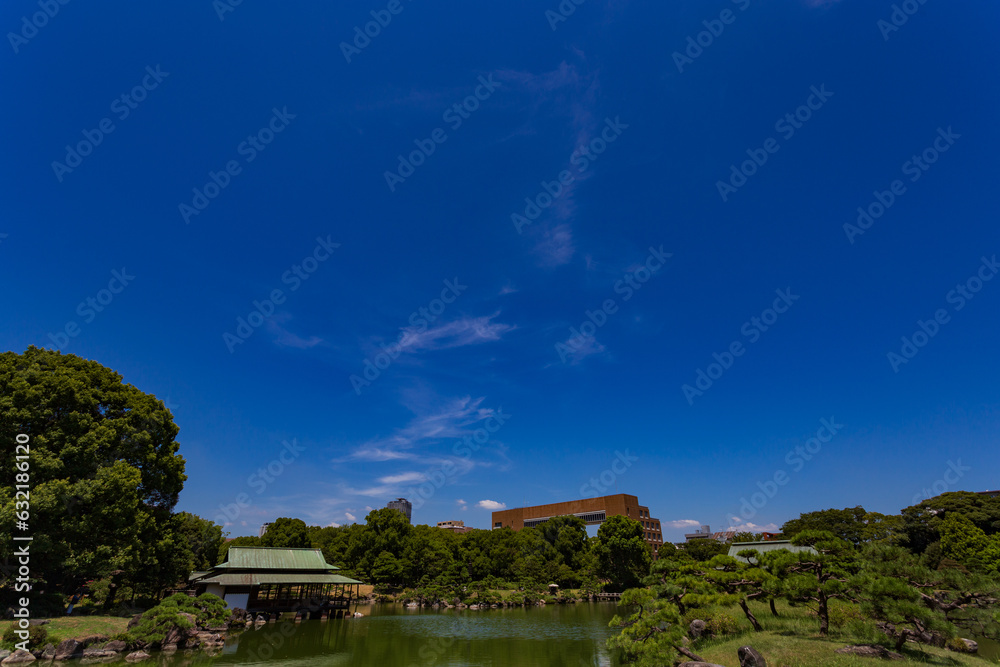 summer sky and urban garden 32