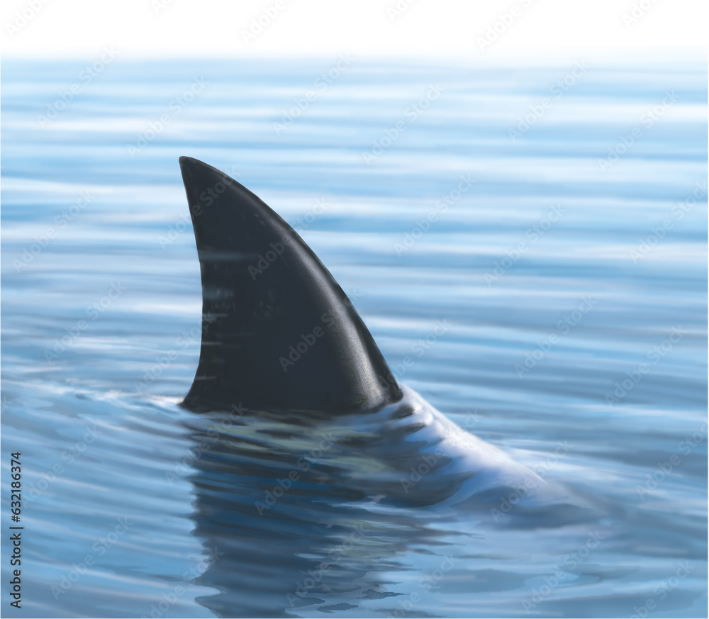 Naklejka premium Haiflosse