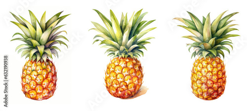 sweet pineapple watercolor