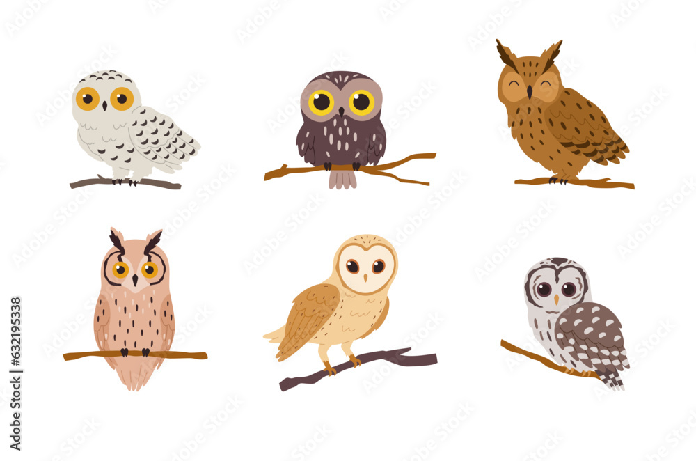 Collection of species of owls forest birds, flat vector illustration isolated.