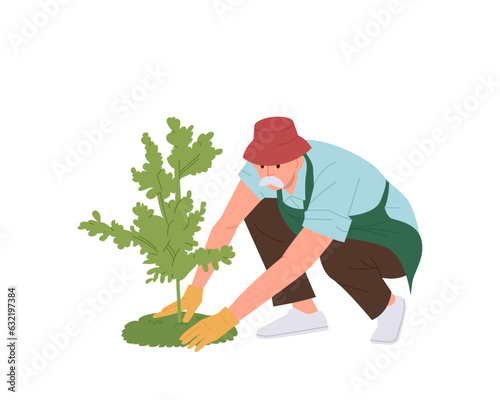 Old senior man gardener cartoon character wearing rubber gloves planting tree sapling in soil hole