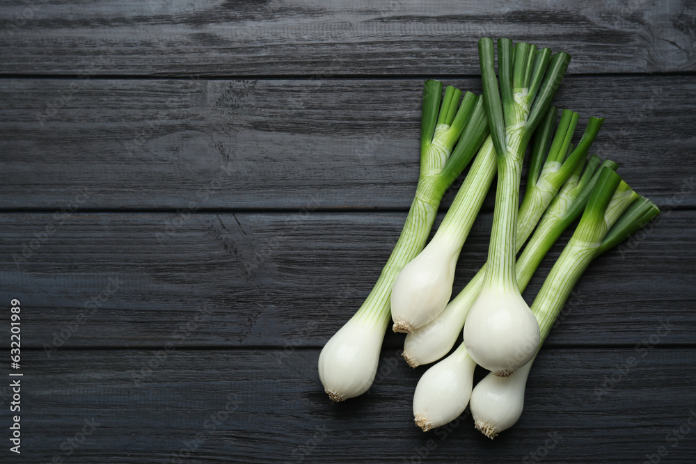 Whole green spring onions on black wooden table, flat lay. Space for text Whole green spring onions on black wooden table, flat lay. Space for text