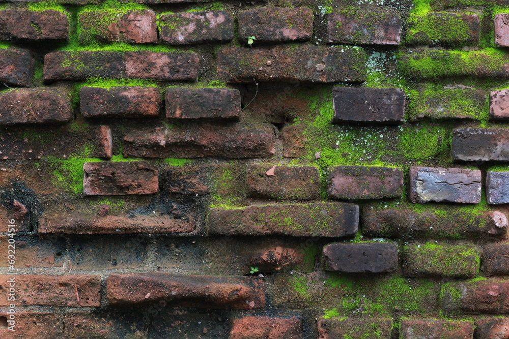 brick walls mossy and eroded by rainwater, unique and ancient bricks brick walls mossy and eroded by rainwater, unique and ancient bricks