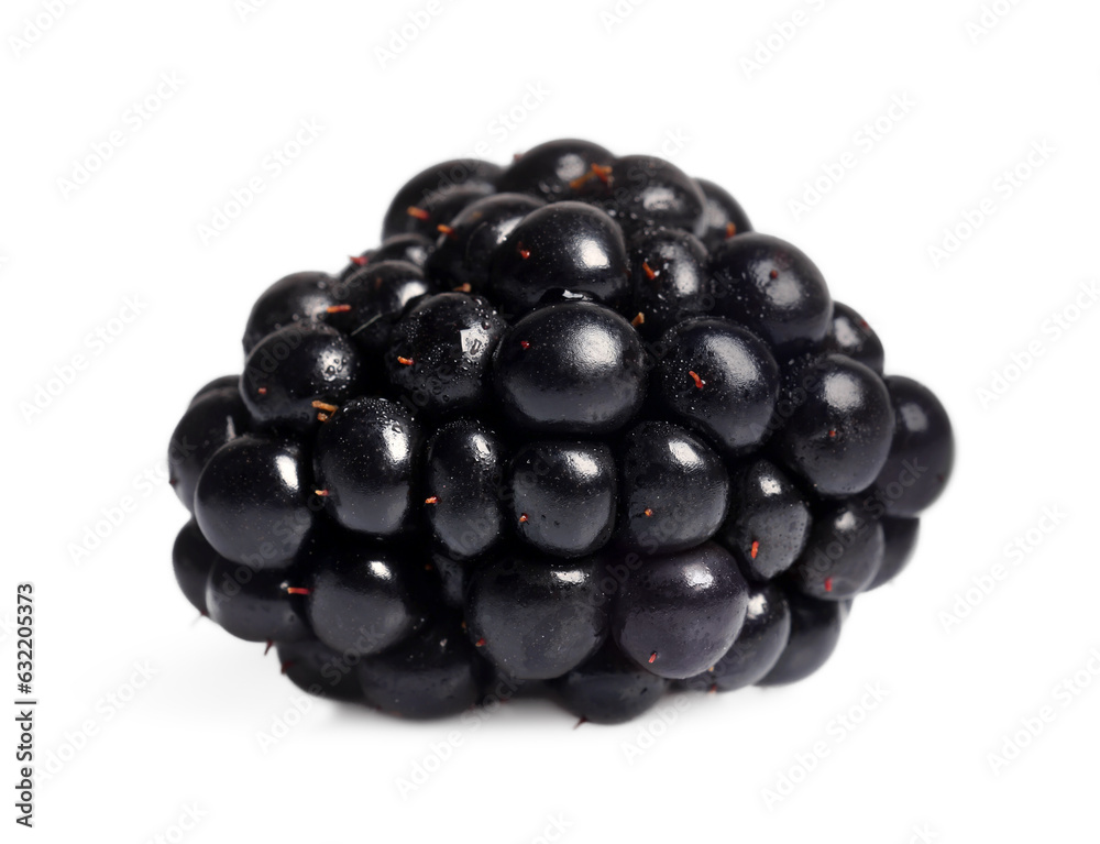 One tasty ripe blackberry isolated on white One tasty ripe blackberry isolated on white