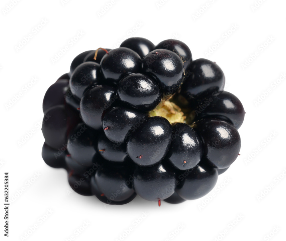 One tasty ripe blackberry isolated on white One tasty ripe blackberry isolated on white