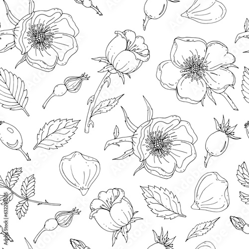 Black and white seamless pattern with rosehip. Hand Drawn flowers for invitation, wedding or postcard. EPS 10 vector illustration.
