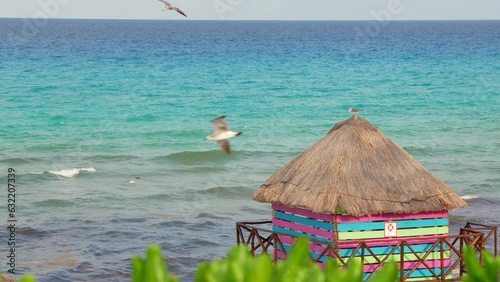 Cancun playa mexicana con olas horizonte en el caribe color azul turquesa con gaviotas pájaros volando sobre el mar una caseta casa choza palapa colorida  de colores llamativa con paja y vegetación photo