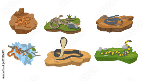 Various snakes crawling on the ground and tree, flat vector illustration isolated on white background.