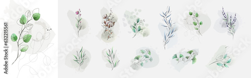 Set of luxury green leaves and flowers elements in watercolor and ink style. Aquarelle and line branches and blooming
