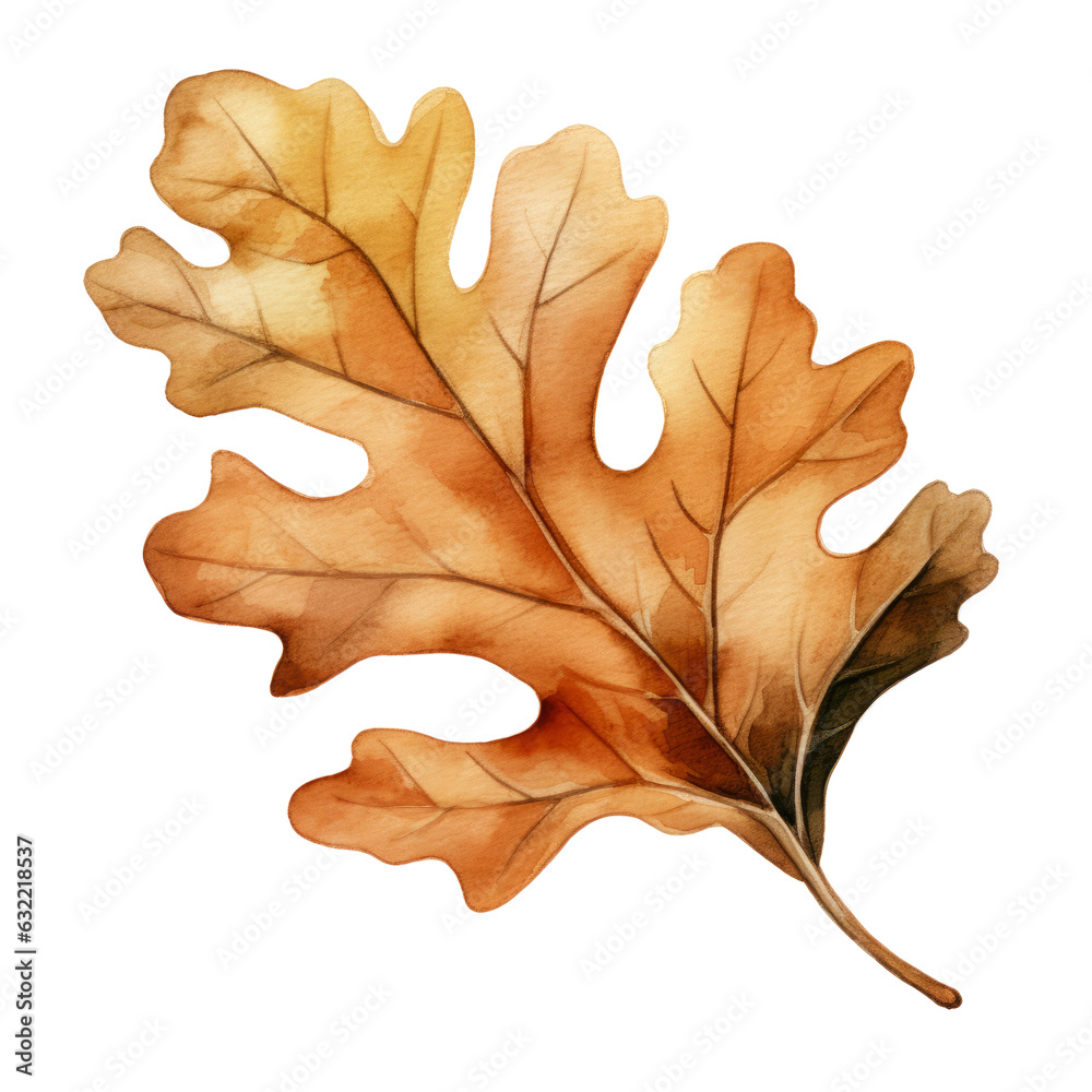Fototapeta premium Brown Autumn Oak Leaf, Isolated on Transparent Background Single Fall Foliage PNG