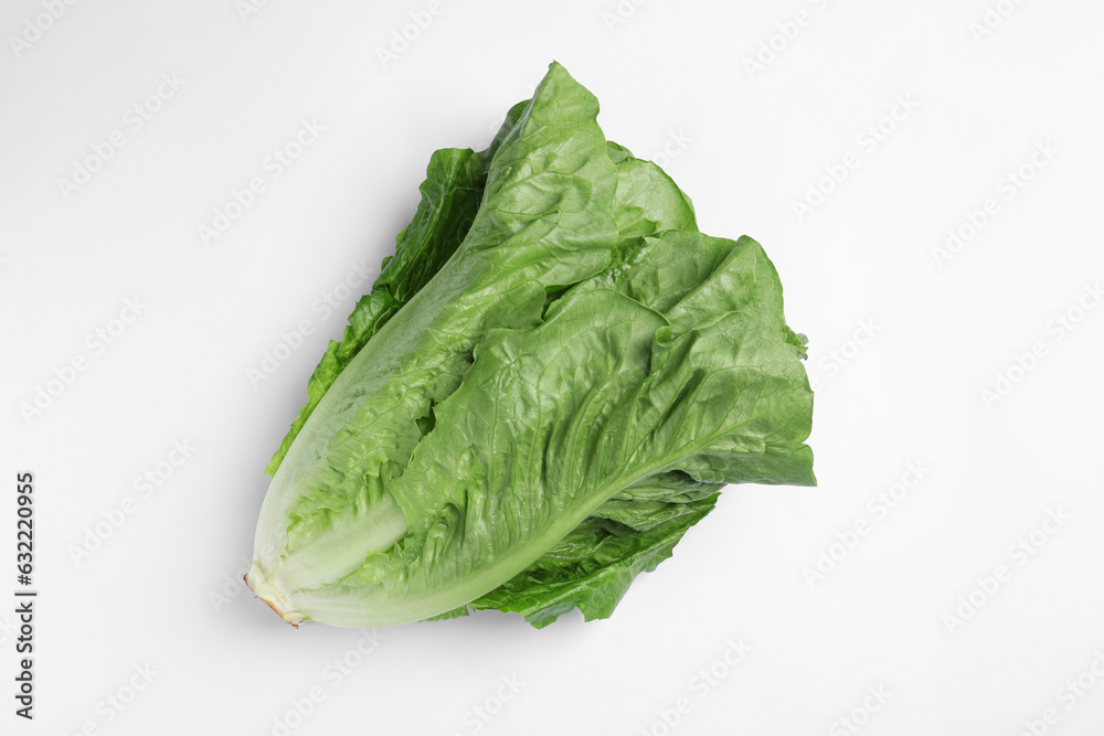 Fresh green romaine lettuce on white background, top view Fresh green romaine lettuce on white background, top view