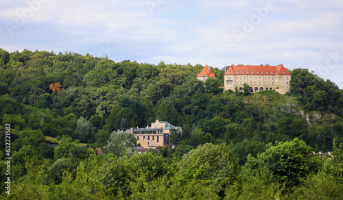 Castle in Przegorzaly, Krakow, Poland