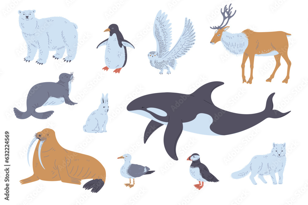 Fototapeta premium Arctic or polar circle animals and birds set flat vector illustration isolated.