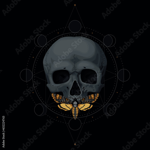 Vector human skull and death head moth