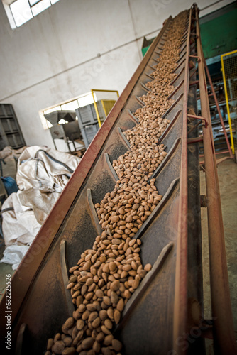 Almonds during the manufacturing process in a modern factory.