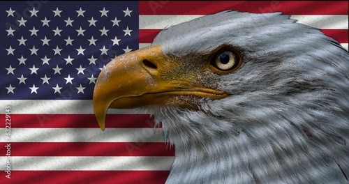 illustration of the American flag with an eagle head in front of it