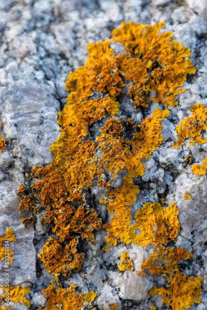 Obraz premium Denmark