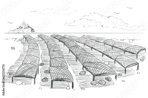 Shellfish breeding. An illustration of the Norman method of growing oysters. Vector graphics of an oyster farm in San Miguel Bay. Vintage drawing in engraving style Linear ink drawing white background