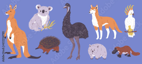 Set of Australian wild animals  flat vector illustration isolated on blue background.