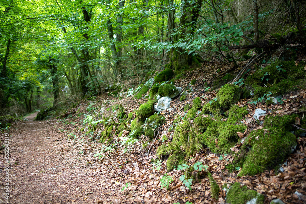 Fototapeta premium Savoie, France