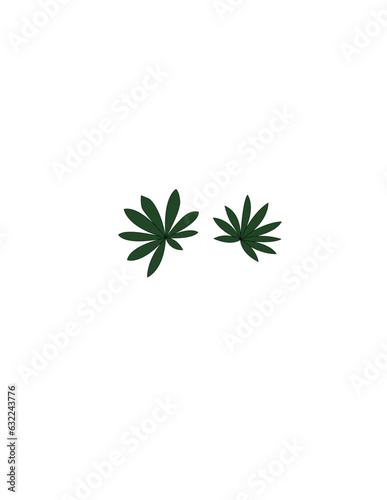 Lupine Leaves Only
