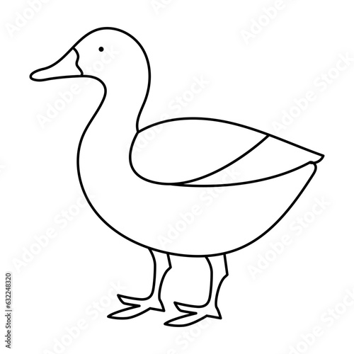 continuous single line drawing of duck water bird vector art illustration photo