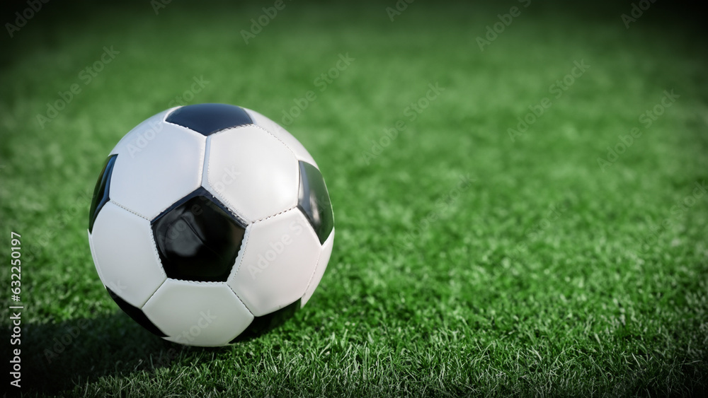 Fototapeta premium Soccer ball inside the green soccer field