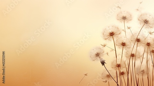 Dandelion flowers cast a natural shadow on beige paper creating an abstract and decorative composition in pastel shades The neutral nature concept features a blurred backgr