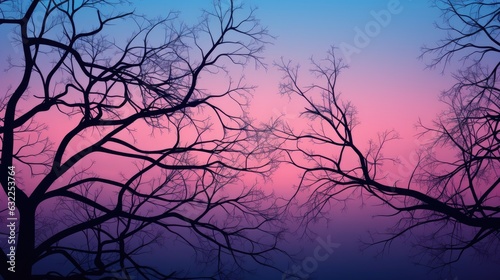 tree branch silhouette as background