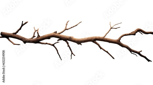 Dead tree branches with cracked bark isolated on white background