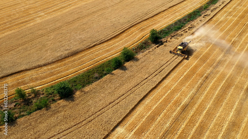 Foto Combine harvester gathers the wheat crop