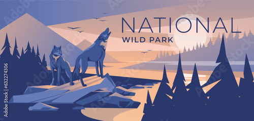 two wolves in a mountain coniferous forest on the bank of a river. Dusk blue sunset. Wild natural park. Vector illustration