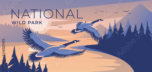 two canada geese fly to a mountain lake at dusk. Coniferous forest. Wild nature park. The blue color of the sunset. Tourism and travel advertising. Vector illustration