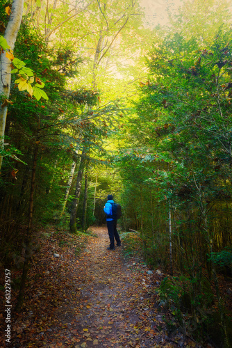 Man on a path in a forest in autumn