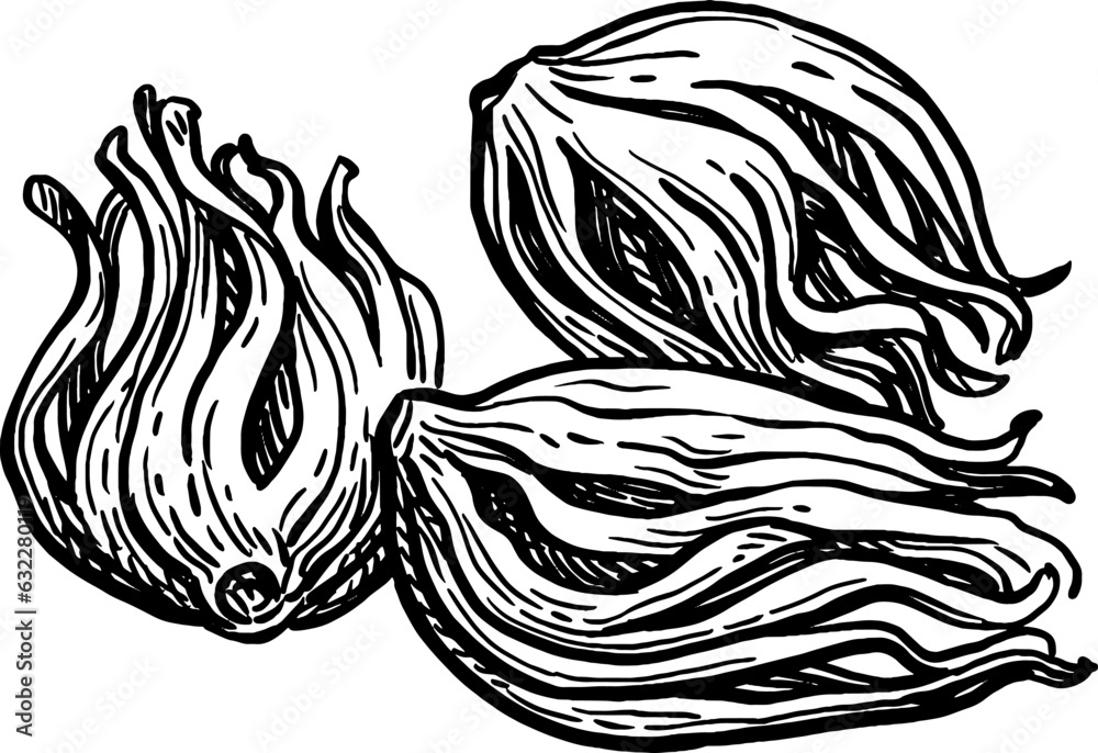 Mace spice ink sketch. Mace spice ink sketch.
