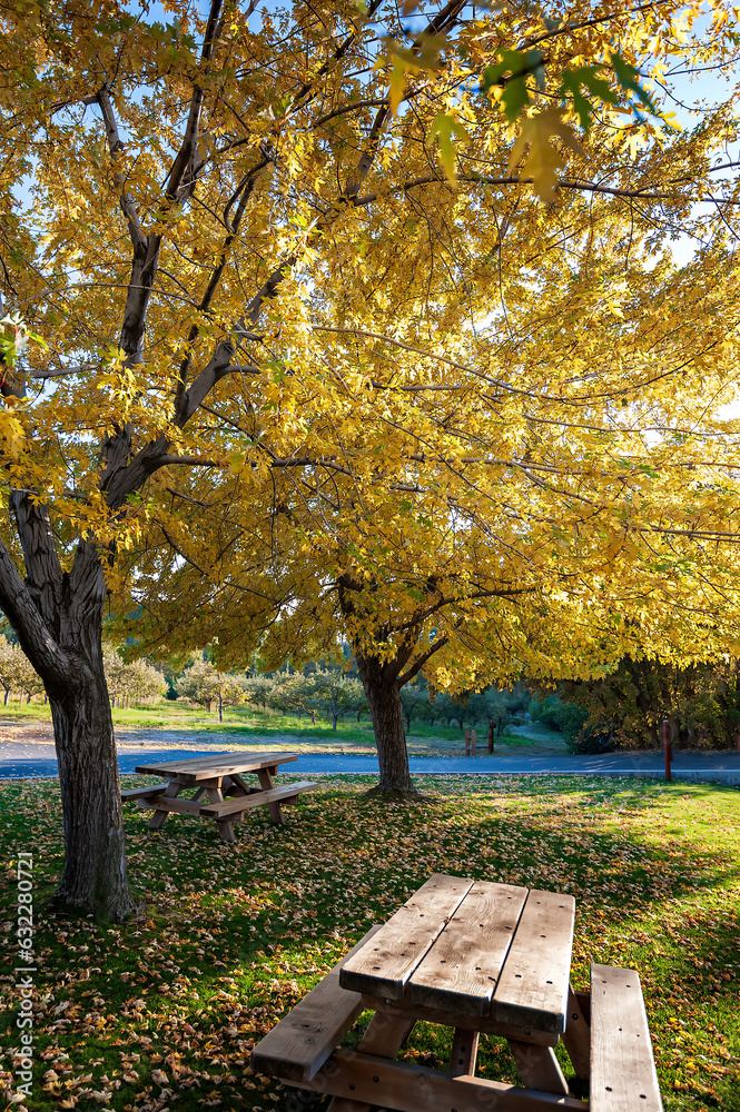 Fall Afternoon in Yucaipa, California