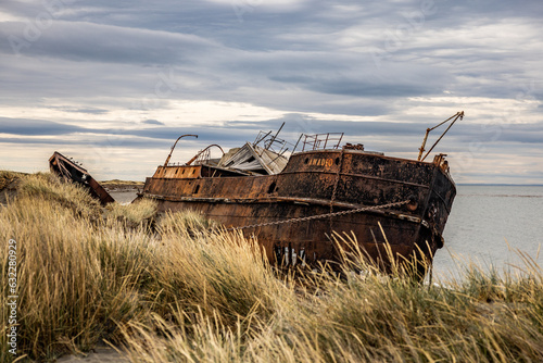 Amadeo Wreck (Magellanes, Punta Arenas, Chile) photo