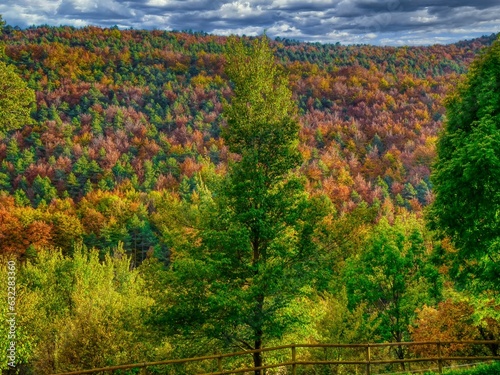 Fototapeta Naklejka Na Ścianę i Meble -  Pobla de Lillet - Santuari de Falgars  (bosc) - Ripollès