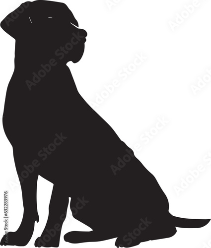 Labrador Vector silhouette, Dog vector silhouette, black color dog silhouette photo