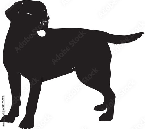 Labrador Vector silhouette, Dog vector silhouette, black color dog silhouette photo