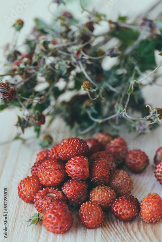 Woodland Strawberry. Heap of ripe red delicious wild berries (Fragaria vesca) and dry bouquet of berry bush with dried berries on it. Closeup of alpine strawberry on wooden table. Macro shot.