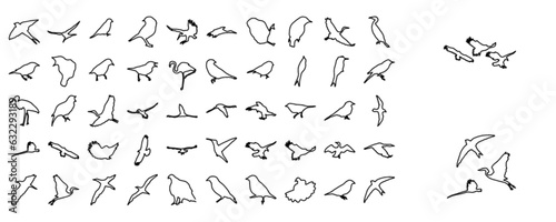 Bird silhouettes
