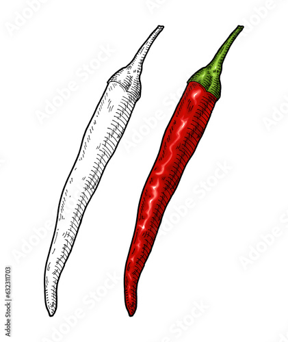Whole pepper cayenne. Vintage engraving vector color illustration