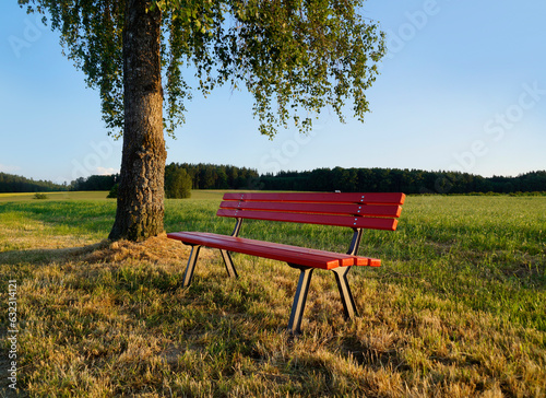  a serene and peaceful sunlit scene with the blue sky, a green meadow and a red bench on a fine summer day in the bavarian village Birkach, Bavaria, Germany photo